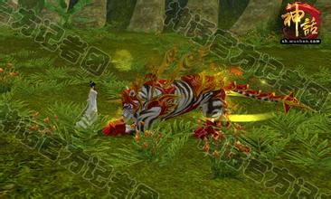 ��ͨ����sf������