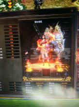 ��ְҵ���渨�����